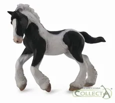 Koń rasy Tinker - źrebię maści srokatej M