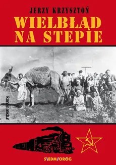 Wielbłąd na stepie - Jerzy Krzysztoń