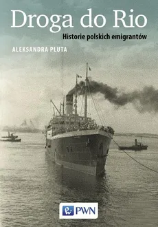 Droga do Rio. Historie polskich emigrantów - Aleksandra Pluta