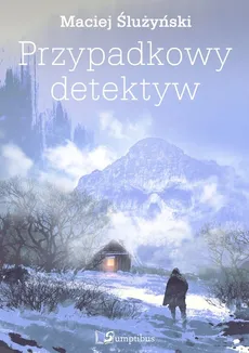 Przypadkowy detektyw - Outlet - Maciej Ślużyński