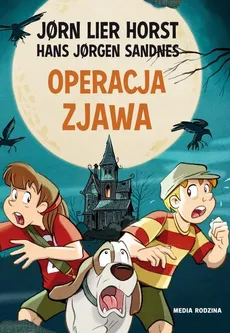 Operacja Zjawa - Outlet - Horst Jorn Lier
