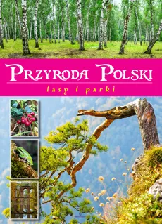 Przyroda Polski Lasy i parki - Żaneta Zając