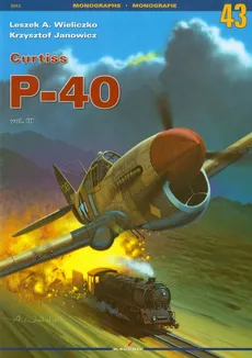 Curtiss P-40 Vol 3 - L.JAN WIELICZKO