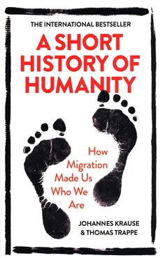 A Short History of Humanity - Johannes Krause, Thomas Trappe