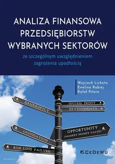 Analiza finansowa przedsiębiorstw wybranych sektorów - Outlet - Wojciech Lichota, Rafał Pitera, Ewelina Rabiej