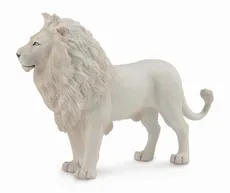 Biały lew
