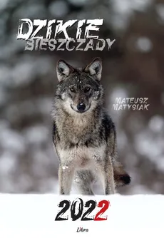 Dzikie Bieszczady - Mateusz Matysiak