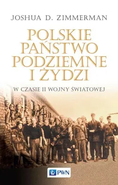 Polskie Państwo Podziemne i Żydzi - Joshua D. Zimmerman