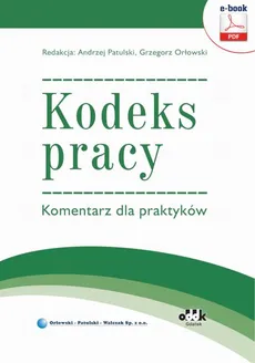 Kodeks pracy. Komentarz dla praktyków (e-book) - Andrzej Patulski, Grzegorz Orłowski