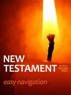 New Testament - Praca zbiorowa
