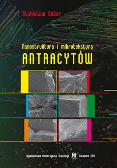 Nanostruktura i mikrotekstura antracytów - Stanisław Duber