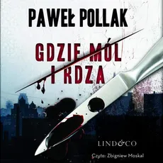 Gdzie mól i rdza. Komisarz Marek Przygodny. Tom 1 - Paweł Pollak