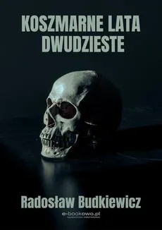 Koszmarne lata dwudzieste - Radosław Budkiewicz