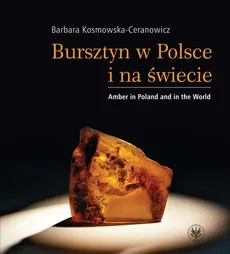 Bursztyn w Polsce i na świecie. Amber in Poland and in the World - Barbara Kosmowska-Ceranowicz