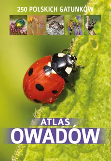 Atlas owadów - Kamila Twardowska, Jacek Twardowski