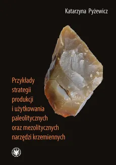 Przykłady strategii produkcji i użytkowania paleolitycznych oraz mezolitycznych narzędzi krzemiennych - Katarzyna Pyżewicz
