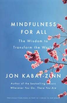 Mindfulness for All - Jon Kabat-Zinn