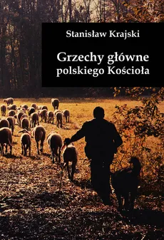 Grzechy główne polskiego Kościoła - Stanisław Krajski