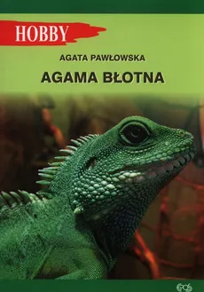 Agama błotna - Agata Pawłowska