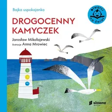 Bajka uspokajanka Drogocenny kamyczek - Jarosław Mikołajewski