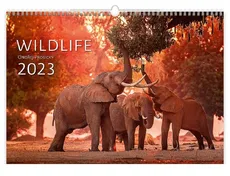 Kalendarz 2023 EX Wildlife