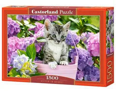 Puzzle Kitten in Basket 1500