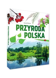 Przyroda polska - Dawid Masło