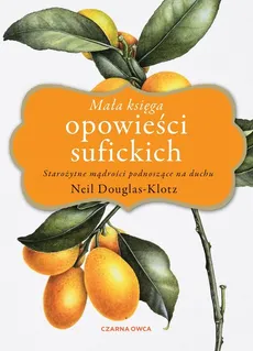 Mała księga opowieści sufickich - Neil Douglas-Klotz